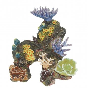 HAQUOSS REEF DREAM 14 - 18,5x14,5x17 h cm